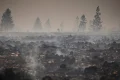 Firefighters pushing to ‘definitively encircle’ east Belgium wildfire, authorities say
