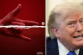 ‘Disney need to sue’: White House blasted over Spider-Man ICE campaign post