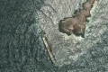 Oil spill from tanker believed to be Russian reaches Oman’s coastline, Muscat authorities say