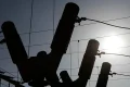 Germany investigates ‘deliberate act’ of disruption at electricity substation near Cologne