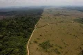 ‘Recovery becomes self-propelling’: Five positive tipping points that can save the world