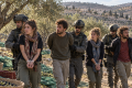 Four Italian activists held during West Bank olive harvest amidst rising settler violence