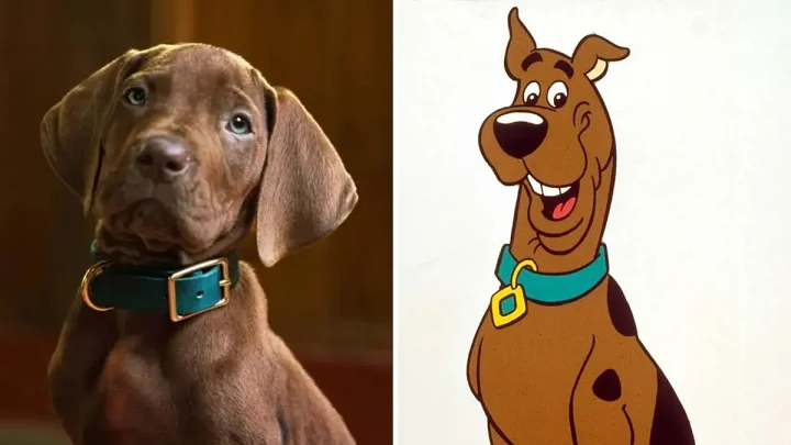 Zoinks! Fans outraged over four-legged star of Netflix’s Scooby-Doo live-action reboot