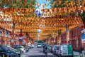 Netherlands: Marktweg in The Hague becomes iconic orange street for World Cup fever
