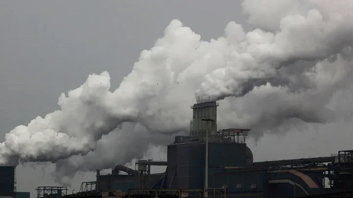 Portugal urges EU rethink on carbon market cuts for industry