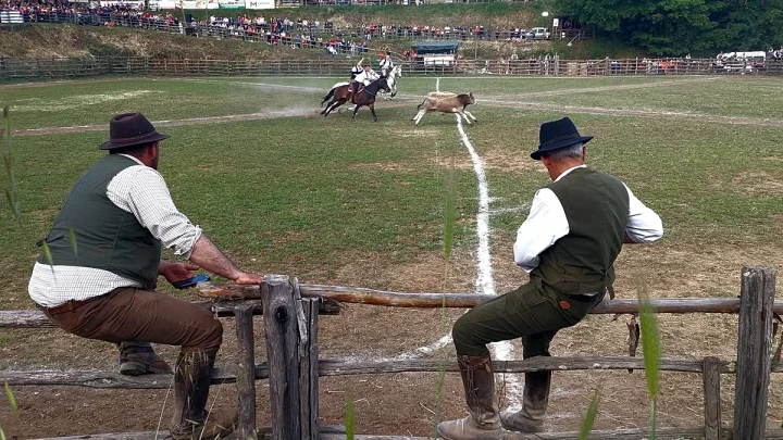 Lazio Maremma cowboys: tradition and innovation at Canale Monterano’s Riarto