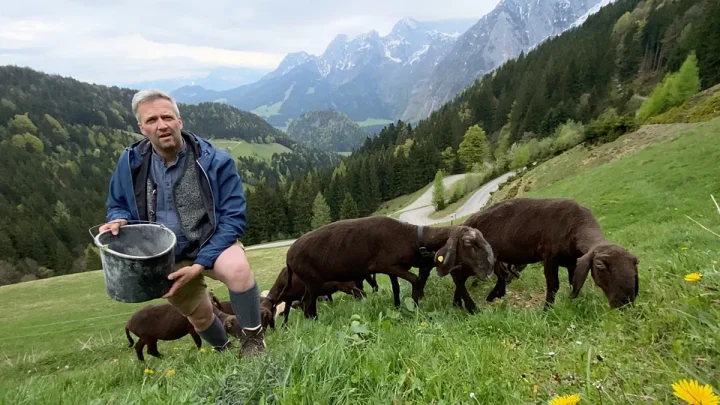 ‘Land of the fulfilled farmers’: Why the grass seems to grow greener in Austria