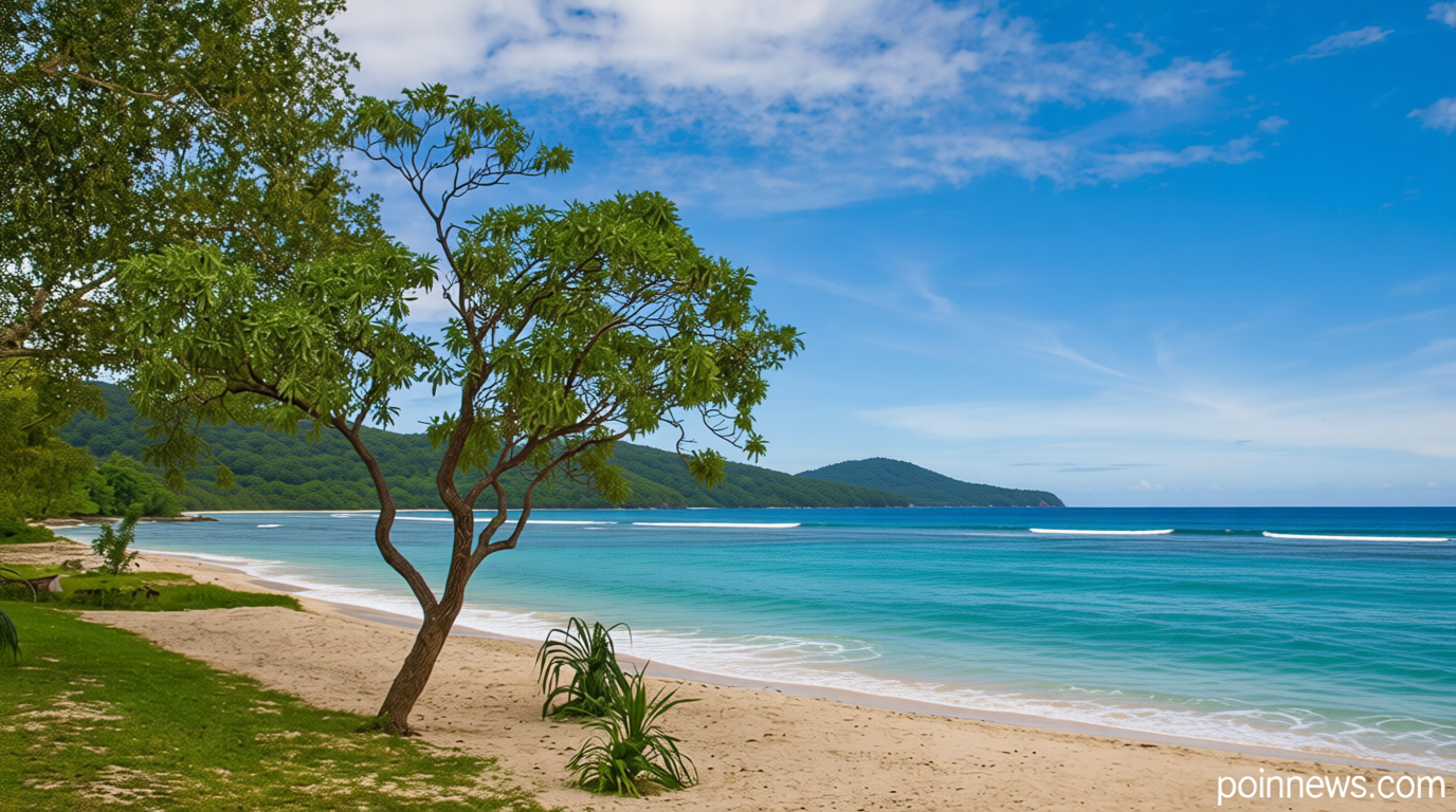 Australia and Vanuatu sign deal barring foreign military base on Pacific island