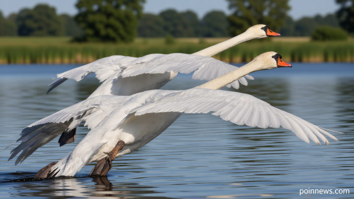 Fabricated AI animal videos are distorting how we see wildlife, researchers warn