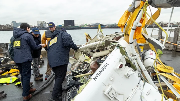 Goose flock behind crash of Siemens CEO’s family in New York