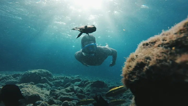 Canary Islands’ new voluntary tourist tax will fund local sustainability projects