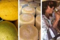 Mission to Andros: Wine, cheese and lemons, the ‘golden’ products shaping the island’s future