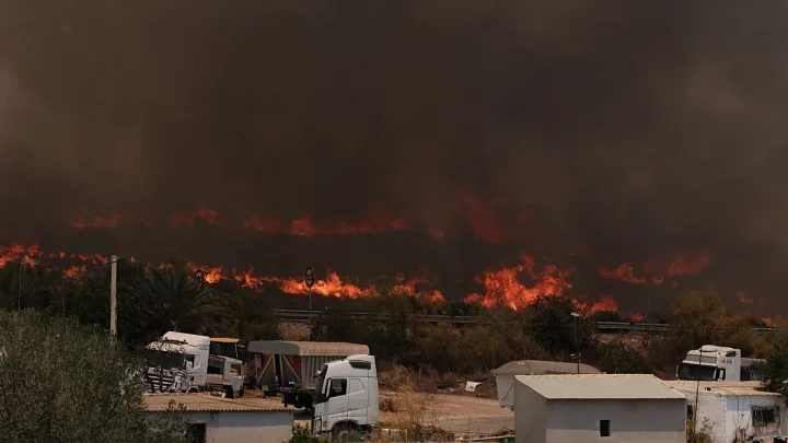 Wildfires in Spain: Zaragoza blaze destroys over 15,400 hectares