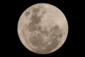 Unplanned impact: NASA says SpaceX rocket parts could hit Moon