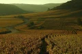 Sour grapes: Michelin’s first winery ratings draw immediate backlash