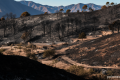 Video. Firefighters battle major wildfire as thousands of hectares burn in central Spain