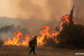 El Niño to ‘strengthen rapidly’ and fuel extreme weather. When will Europe face its wrath?