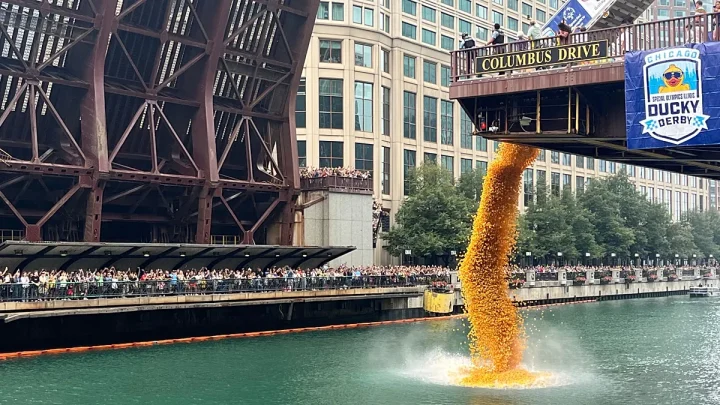 Video. 90,000 rubber ducks race down Chicago River for charity