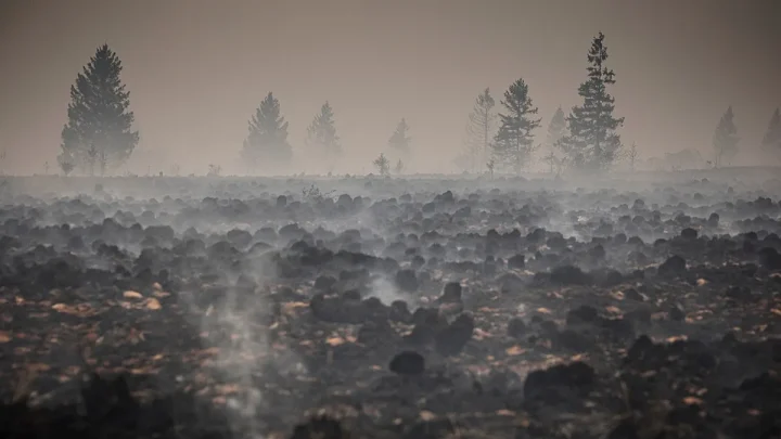 Firefighters pushing to ‘definitively encircle’ east Belgium wildfire, authorities say