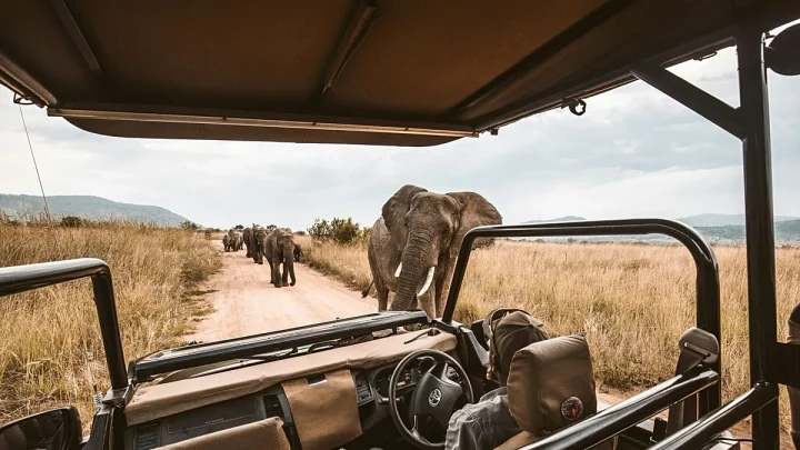 YOLO, JOMO but not FOMO: The trends inspiring traveller choices