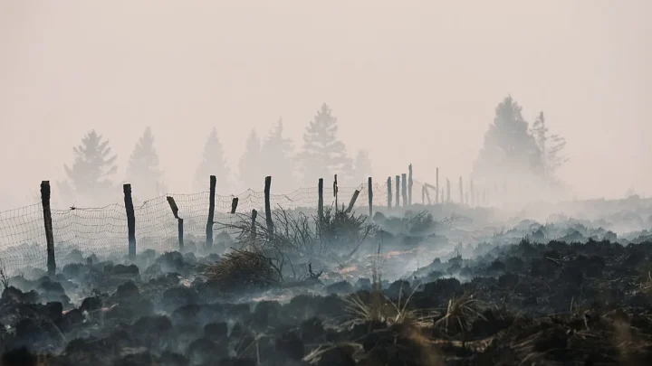 Belgium wildfire ‘encircled’ overnight but situation still ‘complicated,’ officials say
