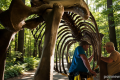 Danube dries in heat: skeleton of giant mammoth uncovered in Bulgaria