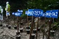 Mass burials of unidentified victims continue in Nepal as death toll exceeds 1,100 one week after flash floods