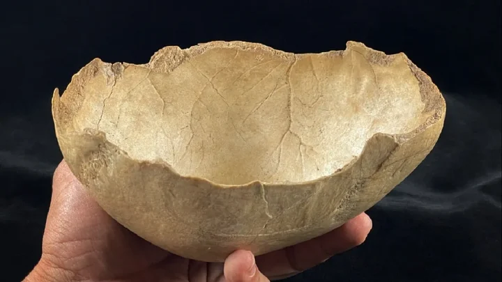 Possible massacre and cannibalism 7,000 years ago uncovered in Granada