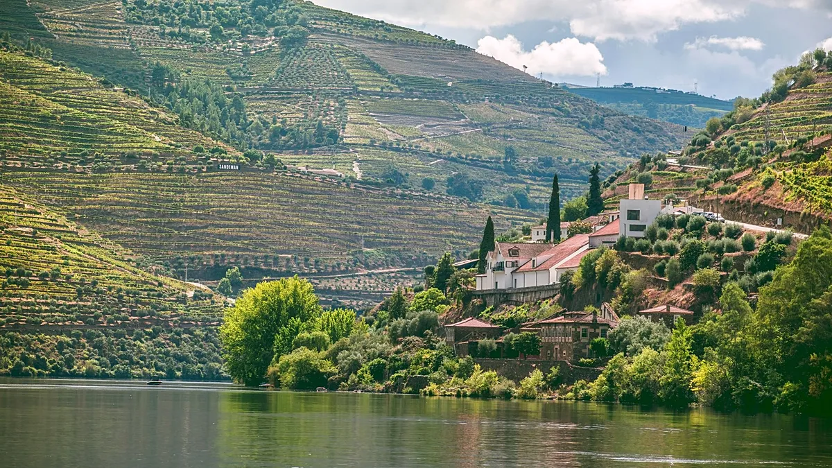 These are the best food and drink tours to travel for in 2026, according to Tripadvisor