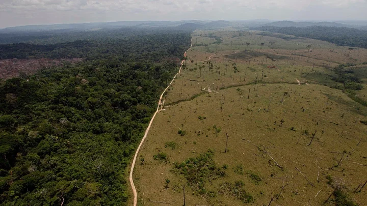 ‘Recovery becomes self-propelling’: Five positive tipping points that can save the world